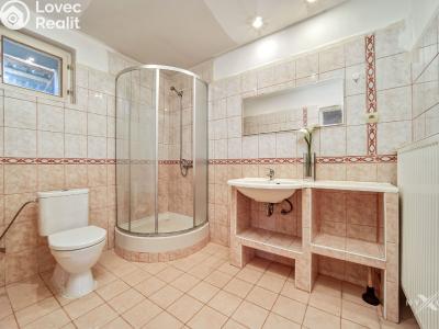 Rent apartment 1+KK Strančice, K Habrovci 378 č. 6