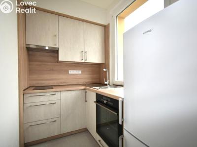 Rent apartment 1+KK Praha č. 3