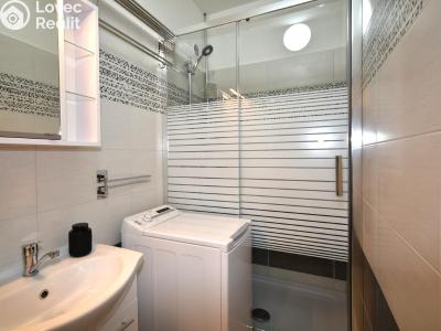 Rent apartment 1+KK Praha č. 9