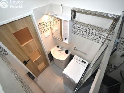 Rent apartment 1+KK Praha č. 11