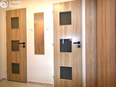 Rent apartment 1+KK Praha č. 12