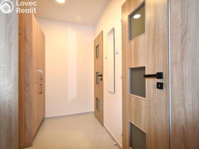 Rent apartment 1+KK Praha č. 14