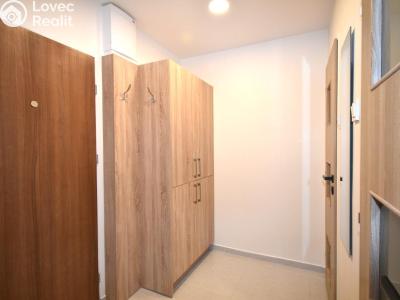 Rent apartment 1+KK Praha č. 15