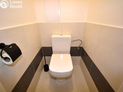 Rent apartment 1+KK Praha č. 16