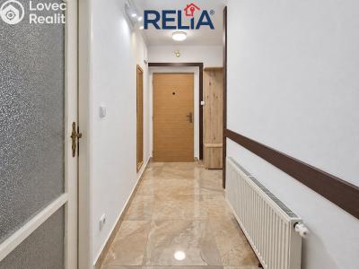 Rent apartment 2+1 Liberec, Zeyerova č. 13