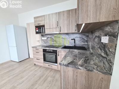Rent apartment 1+KK Olomouc, Wolkerova č. 1