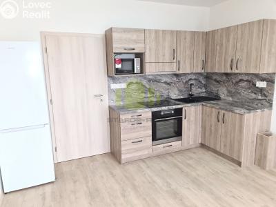 Rent apartment 1+KK Olomouc, Wolkerova č. 3