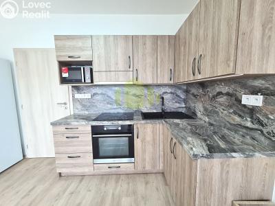 Rent apartment 1+KK Olomouc, Wolkerova č. 4
