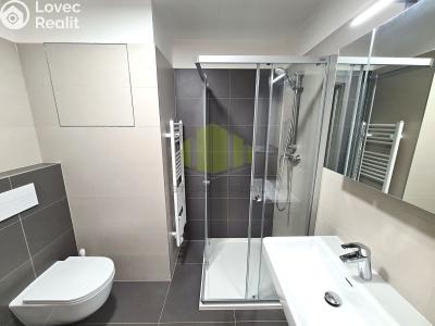 Rent apartment 1+KK Olomouc, Wolkerova č. 7
