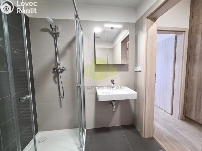 Rent apartment 1+KK Olomouc, Wolkerova č. 8