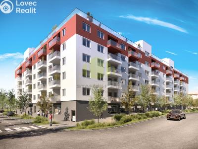 Rent apartment 1+KK Olomouc, Wolkerova č. 12