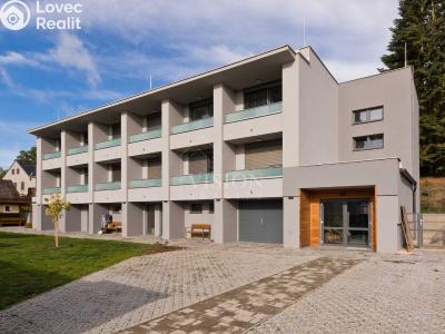 Rent apartment 2+KK Jindřichův Hradec č. 1