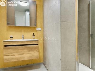 Rent apartment 2+KK Jindřichův Hradec č. 7