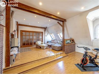 Sale multi-gen house Teplice, Doubravská č. 38