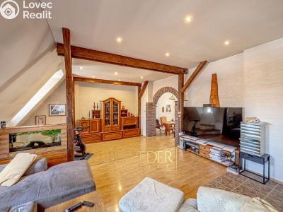 Sale multi-gen house Teplice, Doubravská č. 40