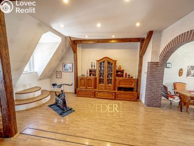 Sale multi-gen house Teplice, Doubravská č. 41