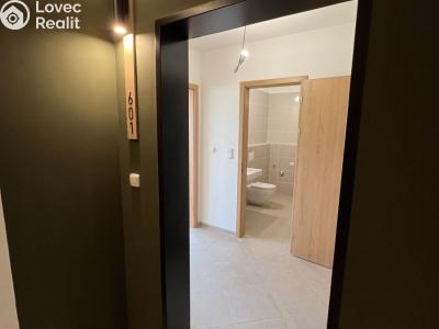 Sale apartment 1+KK Praha, Gollové č. 21