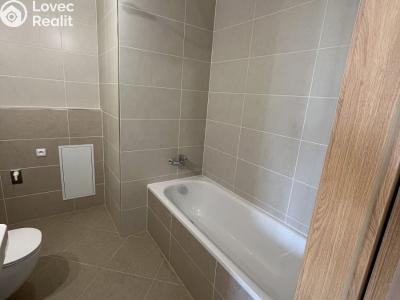 Sale apartment 1+KK Praha, Gollové č. 3