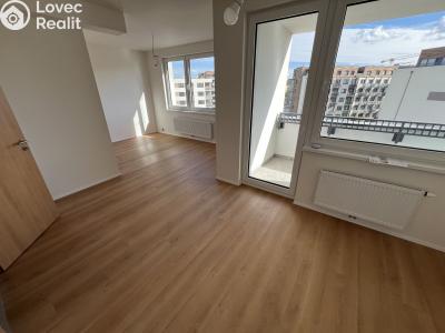 Sale apartment 1+KK Praha, Gollové č. 4