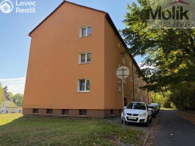 Pronájem bytu 2+1 Litvínov, Hamerská 196 č. 9