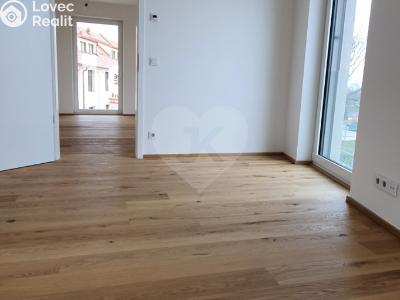 Rent apartment 2+KK Praha, Ke Tvrzi č. 4