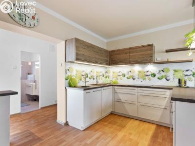 Sale multi-gen house Beroun, Plzeňská č. 3