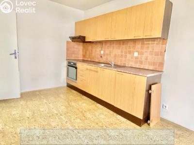 Rent apartment 2+1 Kladno č. 2