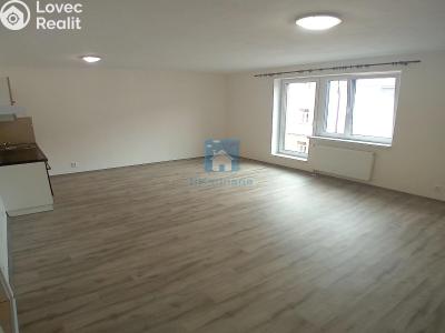 Rent apartment 1+KK Plzeň, Rejskova č. 3
