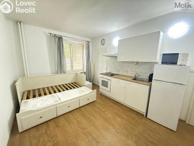 Rent apartment 1+KK Most, Slovenského národního povstání č. 1