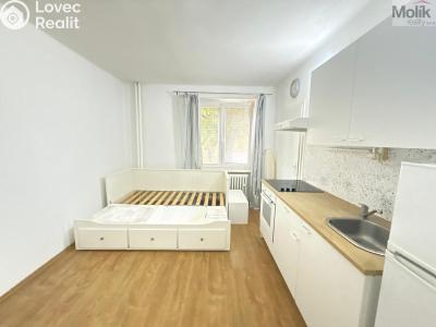Rent apartment 1+KK Most, Slovenského národního povstání č. 2