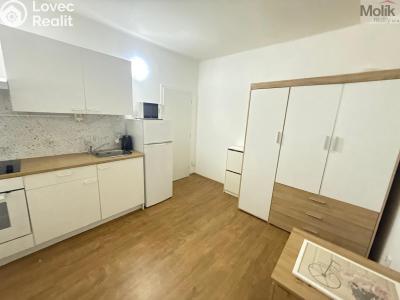 Rent apartment 1+KK Most, Slovenského národního povstání č. 4