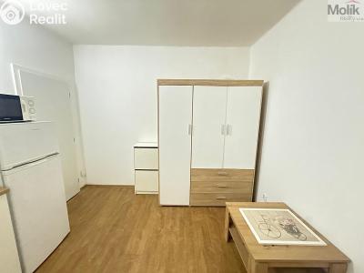 Rent apartment 1+KK Most, Slovenského národního povstání č. 6
