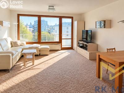 Rent apartment 3+KK Praha, Nepelova č. 1