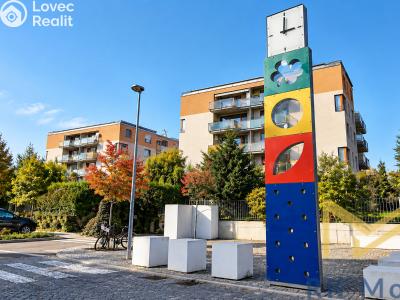 Rent apartment 3+KK Praha, Nepelova č. 8