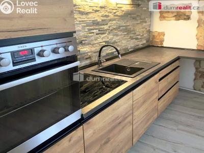 Rent apartment 2+1 Děčín, Křížová č. 2