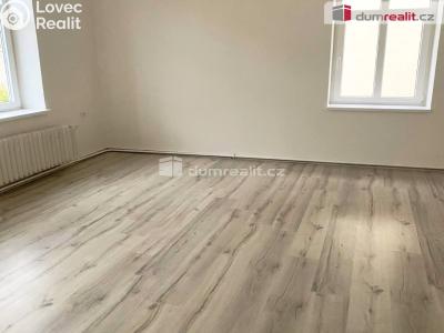 Rent apartment 2+1 Děčín, Křížová č. 6