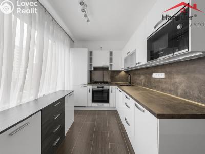 Prodej bytu 3+1 Děčín, Přímá 316 č. 14
