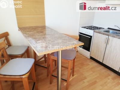 Rent apartment 1+1 Plzeň, Kralovická č. 3