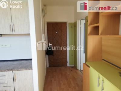 Rent apartment 1+1 Plzeň, Kralovická č. 4