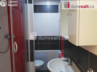 Rent apartment 1+1 Plzeň, Kralovická č. 7