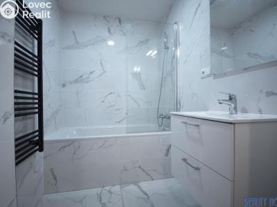 Rent apartment 3+KK Praha, Janovského č. 13