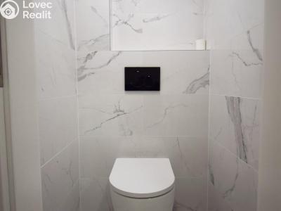 Rent apartment 3+KK Praha, Janovského č. 26