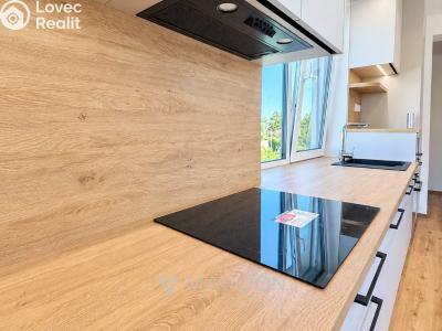 Rent apartment 2+KK Kostelec nad Labem, Zeyvalova č. 4