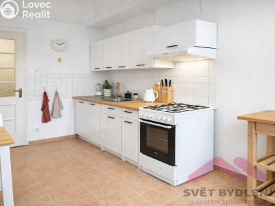 Rent apartment 2+1 Praha, Křížkovského č. 4