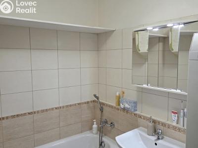 Rent apartment 2+1 Praha, Křížkovského č. 6