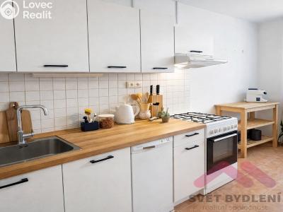 Rent apartment 2+1 Praha, Křížkovského č. 8