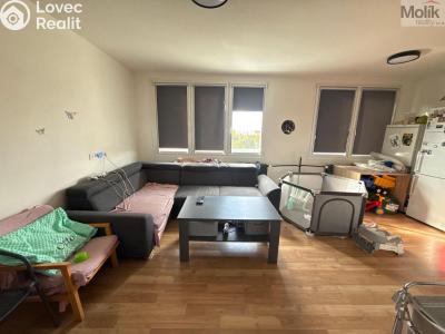 Rent apartment 3+1 Most, Růžová č. 4