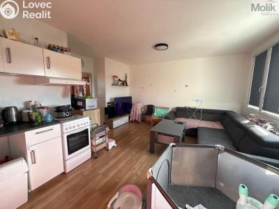 Rent apartment 3+1 Most, Růžová č. 6