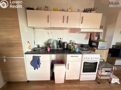 Rent apartment 3+1 Most, Růžová č. 8