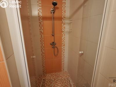 Rent apartment 2+1 Ústí nad Labem, Alešova č. 8
